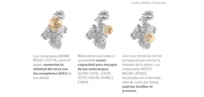 Las mutaciones de la variante ómicron