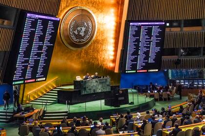 Las Naciones Unidas impulsan el Día Internacional de los Derechos Humanos (AP Foto/Bebeto Matthews)