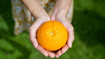 Las naranjas son frutas ricas en vitamina C, flavonoides y aceites esenciales.