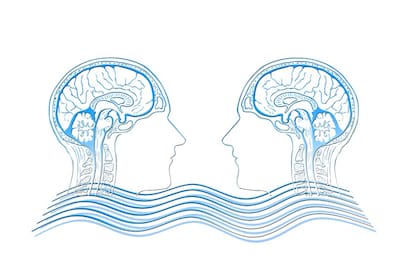 Las neuronas espejo se localizan en cuatro regiones del cerebro que se comunican entre ellas