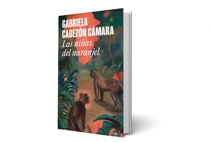 Las niñas del naranjel, Gabriela Cabezón Cámara