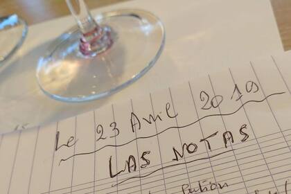 Las notas del experto en plena cata
