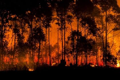 Las nubes pirocumulonimbo tienden a formarse cuando los incendios alcanzan su máxima temperatura