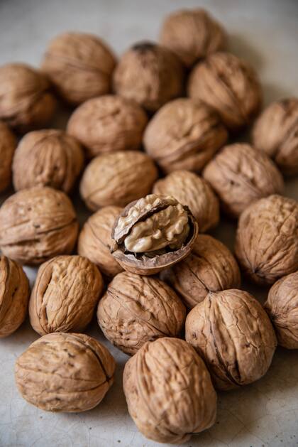 Las nueces contienen ácidos esenciales para la función neuronal y el sistema nervioso central