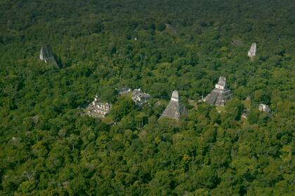 Las nuevas ciudades mayas que se descubrieron
