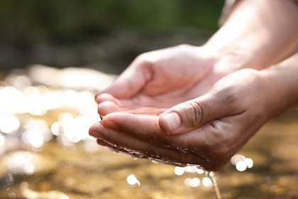 Las nuevas limitaciones afectan a 11 condados principales de Florida