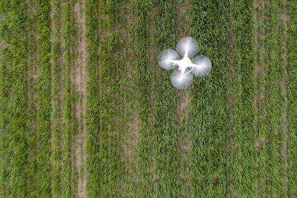 El ecosistema AgTech ayuda a modificar los modos de producción.