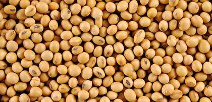 Las nuevas tecnologías no van a salir sin resguardo en su propiedad