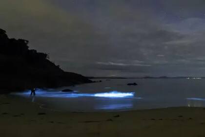 Las olas fluorescentes se pudieron ver en Spikey Beach, Tasmania, Australia