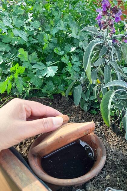 Las ollas trabajan solas, manteniendo el equilibrio de humedad necesario para las plantas