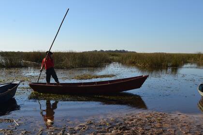 Las ONG ambientales trabajan junto a las comunidades para conservarlos y lograr un manejo sustentable; reclaman con urgencia una normativa nacional que los resguarde