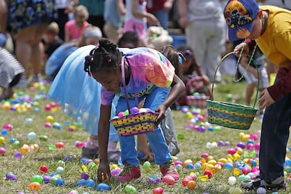 Las opciones son muy variadas y para distintas edades (Road Trip USA)