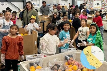 Las organizaciones que luchan contra la inseguridad alimentaria, el abandono de los adultos mayores, la mortalidad infantil, y las adicciones esperan el apoyo de todos los californianos.