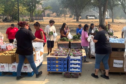 Las organizaciones reportan un alcance mensual de 320 mil personas y destacan la eficiencia de sus servicios y la labor fundamental de sus voluntarios