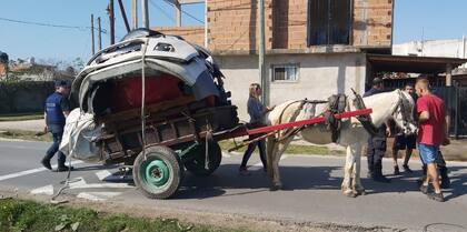 Las organizaciones sociales se dedican a recuperar a los equinos descartados o mutilados por el trato durante su uso