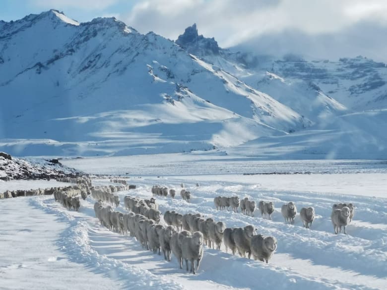 Enfrentando la tormenta: cómo Pablo Stürzenbaum superó el temporal de nieve en la Patagonia