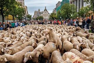 9 fiestas espectaculares en distintos lugares del mundo