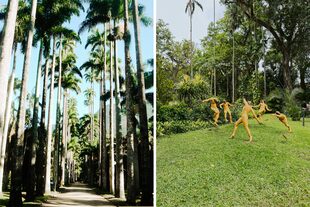 Las palmeras imperiales, los paseos de esculturas, orquídeas de todo tipo y un increíble invernadero, son algunos de los atractivos.