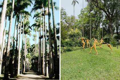 Las palmeras imperiales, los paseos de esculturas, orquídeas de todo tipo y un increíble invernadero, son algunos de los atractivos.