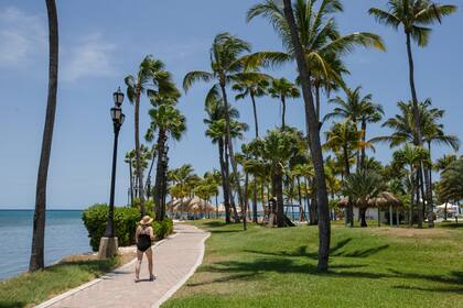 Las palmeras y el mar turquesa acompañan todo el litoral de la isla.