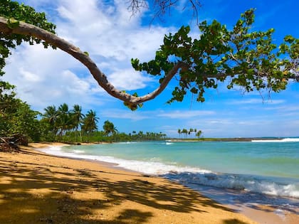 Las paradisíacas playas cubanas son testigos de los sangrientos hechos que dieron pie al comienzo de esta historia