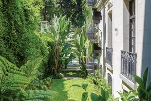 Las paredes del jardín de 200 m2 están tapizadas de ampelopsis, heliconias y dryopteris su nota tropical; pero también hay plantas que dan una floración escalonada a lo largo del año. 