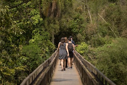 Las pasarelas del PN Iguazú son accesibles.