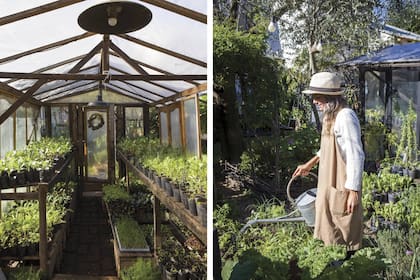 Las Pavonias recibe la visita no solo de paisajistas que hacen huertas para sus clientes, sino también de particulares que encuentran acá plantines adecuados para cada estación. Importante: los cuidan con productos ecológicos.