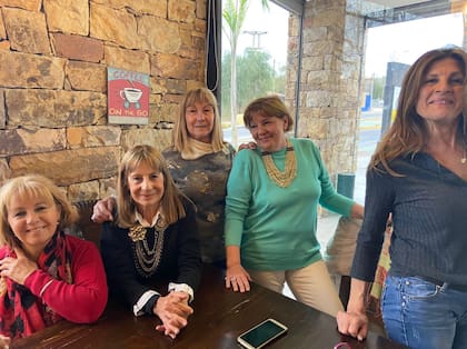 Las pelo de Cocker planchado consiguieron reunir fiscales a través de un esquema piramidal