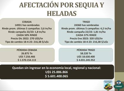 Las pérdidas en números ocasionadas en trigo y en cebada en Carlos Tejedor