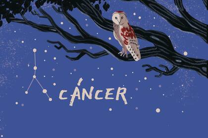 Las personas con ascendente en Cáncer pueden saber que les deparan los astros para este fin de semana.