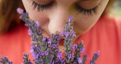 Las personas de Géminis preciarán recibir lavanda como regalo de San Valentín