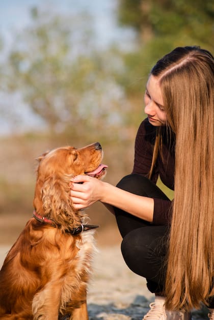 Las personas que acarician perros en la calle tienden a tener perfiles psicológicos más sociables y empáticos (Foto de carácter ilustrativa: Freepik)
