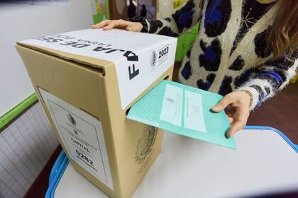 Las personas que están exentas a votar pueden participar de las elecciones, ya que es de carácter optativo
