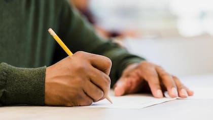 Las personas que sufren rechazo han visto afectado su rendimiento intelectual, según Baumeister.