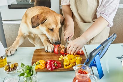Las personas veganas rechazan el consumo de alimentos o productos derivados de animales