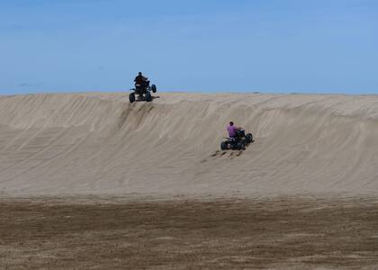 Las picadas son frecuentes en La Hoya.