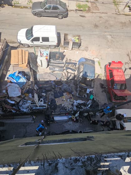 Las piezas fueron decomisadas