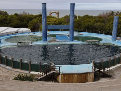 Las piletas del Aquarium de Mar del Plata que se encuentran cerradas y con los animales dentro