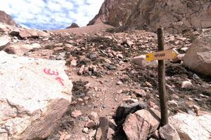 Las pintadas en la reserva natural Manzano Histórico