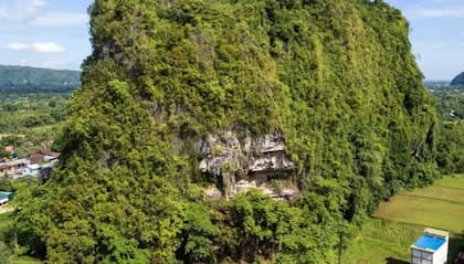 Las pinturas fueron encontradas en las cuevas de la colina Karampuang en la isla indonesia de Célebes Meridional