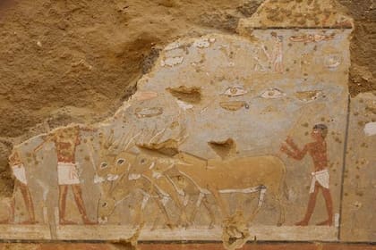 Las pinturas relatan parte de la vida de aquella comunidad y su vínculo con el Nilo