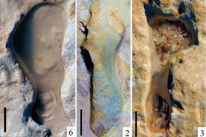 Las pisadas fosilizadas estudiadas por el equipo dirigido por el doctor Mayoral Alfaro