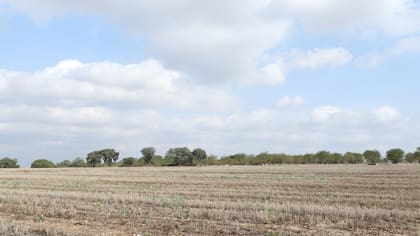 Las pistas que conducen al desafío viral de la cabaña en medio del campo