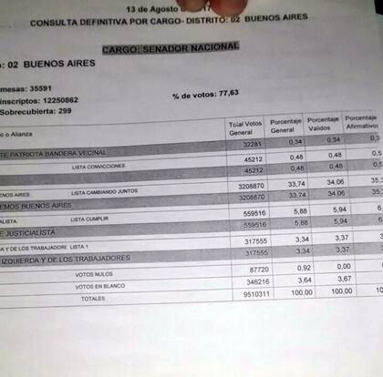 Las planillas de los resultados definitivos de las PASO 2017