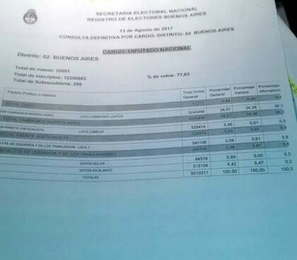Las planillas de los resultados definitivos de las PASO 2017