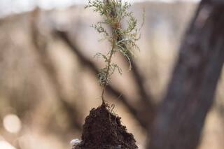 Es necesario que actuemos ya para cuidar nuestra “casa común”