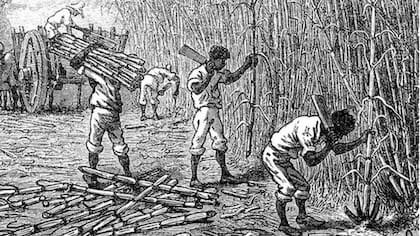 Las plantaciones de caña de azúcar hicieron de Jamaica una de las colonias británicas más rentables
