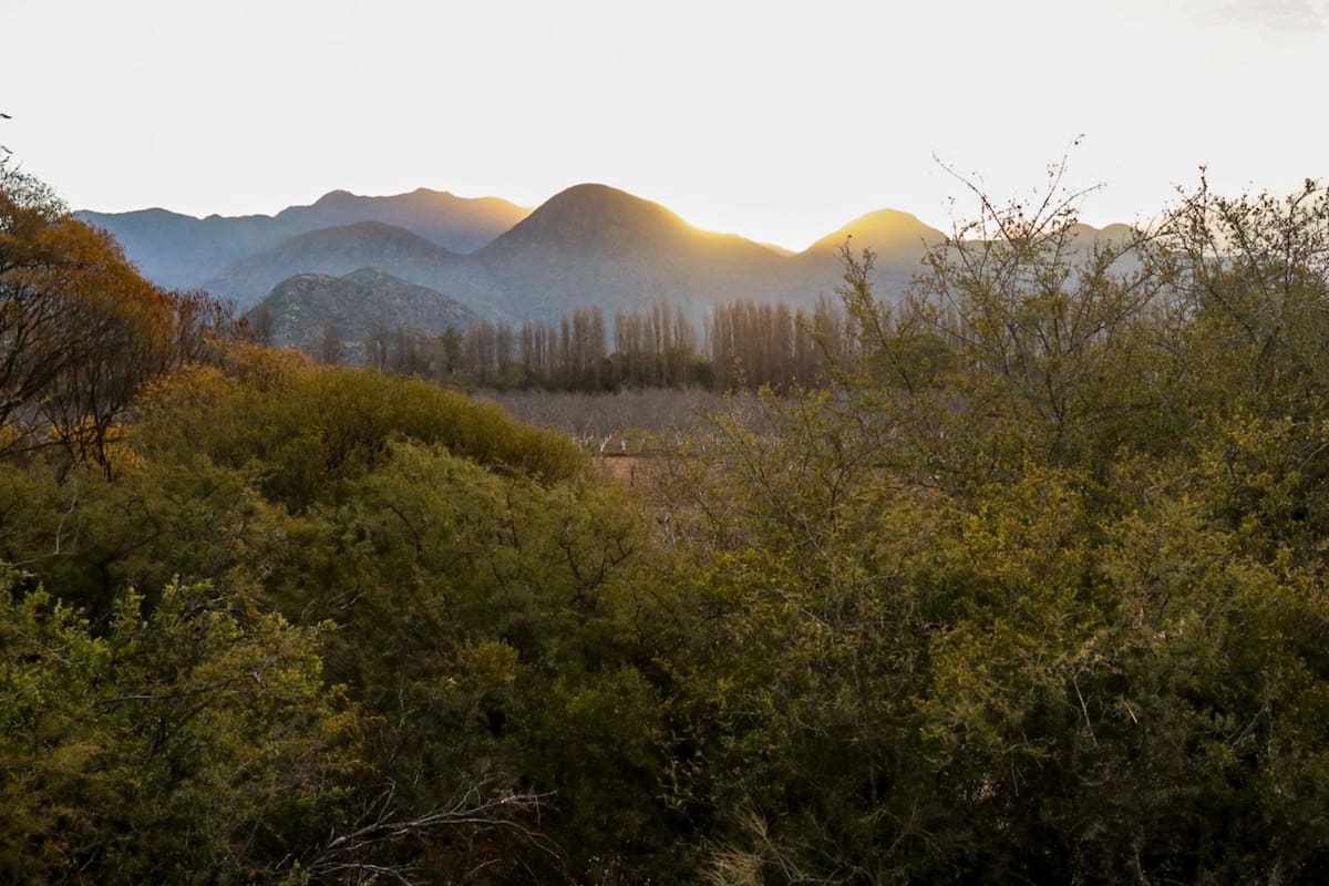 3 destinos en el corazón de La Rioja para disfrutar sabores regionales y sentirse como un local más
