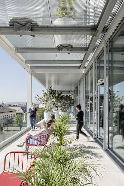 Las plantas abundan en este nuevo edificio